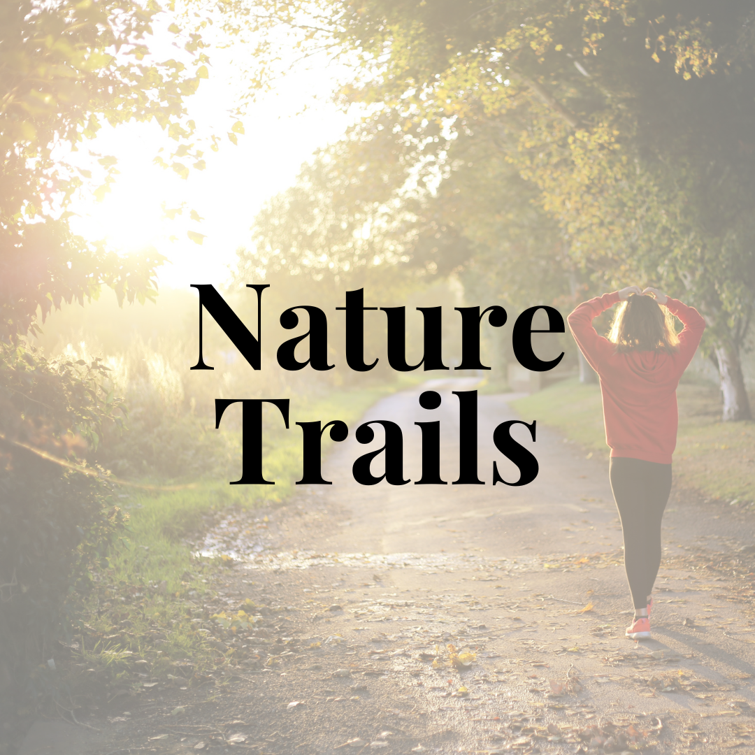 Nature TRails - Pat Seide Serrano Lots for Sale